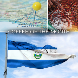 El Salvador Honey Process