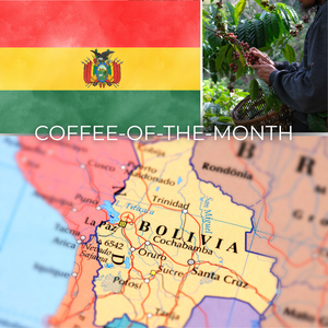 Bolivia Caranavi