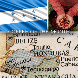 Honduras Honey Finca Liquidambar — Coffee of the Month