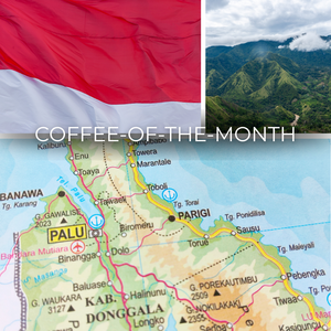 Indonesia Sulawesi Toraja Coffee of the Month