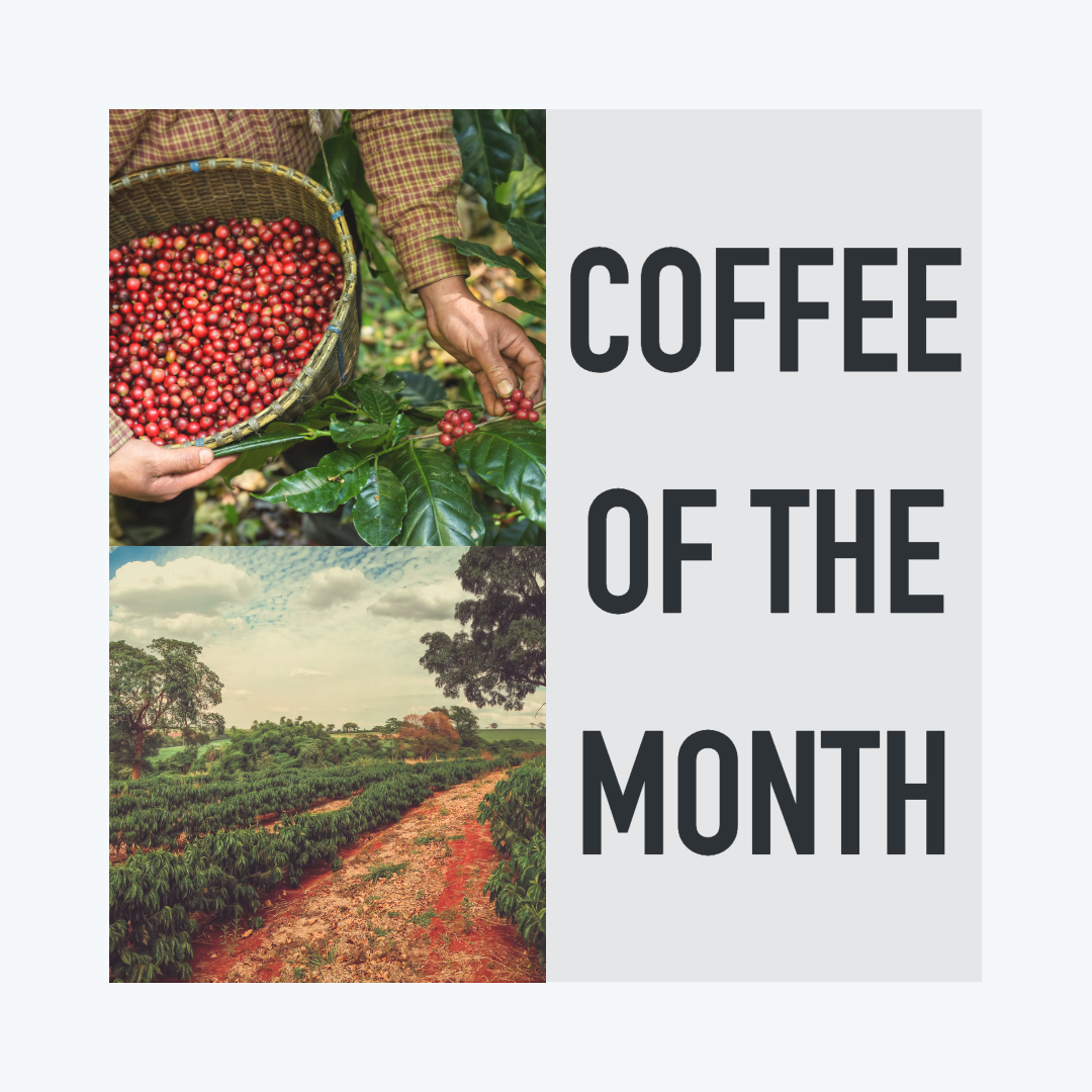 Coffee of the Month — Kariru Kenya AA